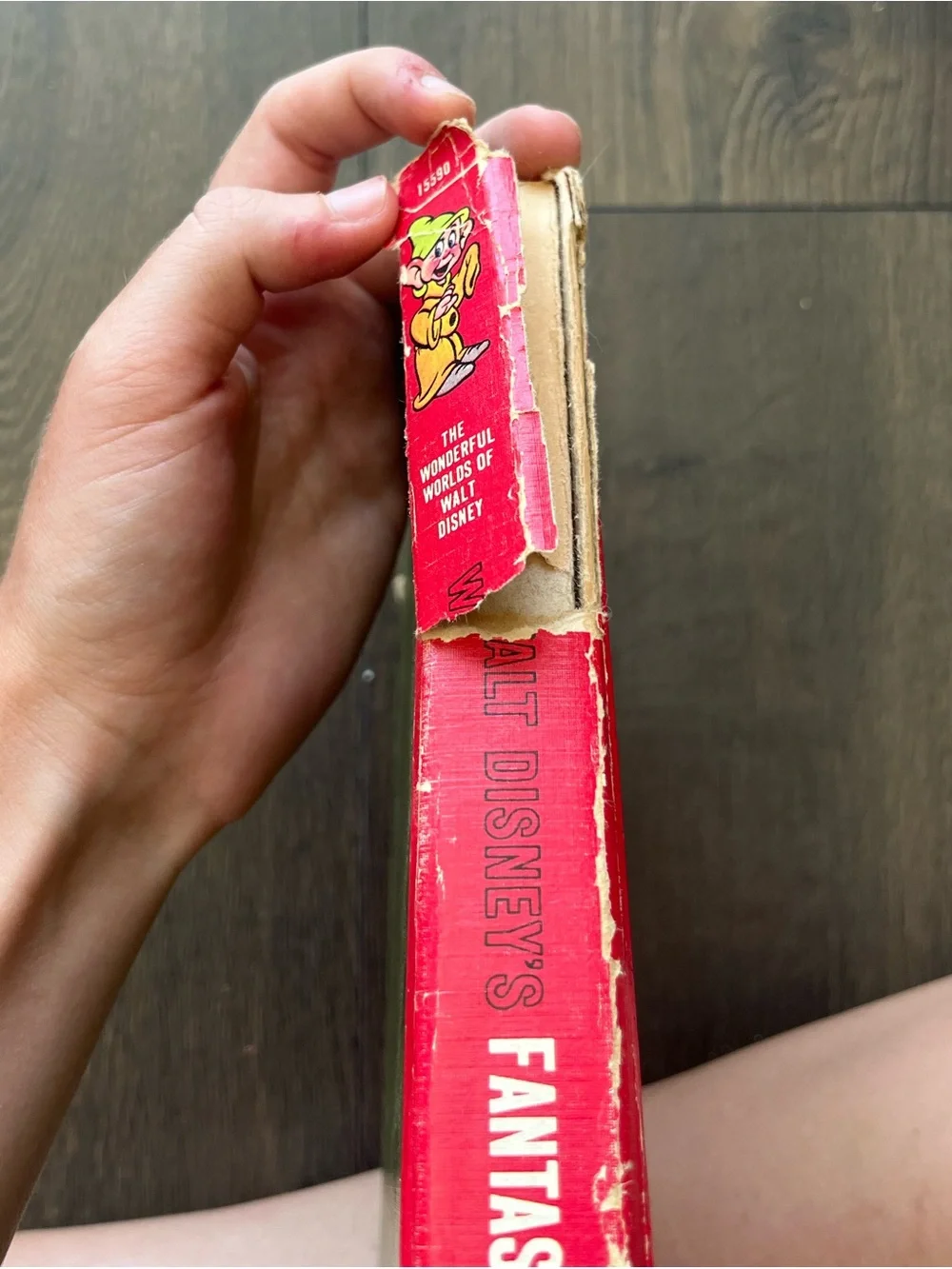 Vintage 1965 The Wonderful Worlds of Walt Disney Children's Book Set